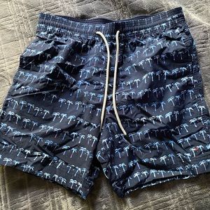 Tommy Hilfiger Swim Trunks
